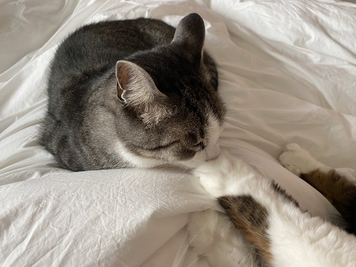 형아 발냄시 킁킁