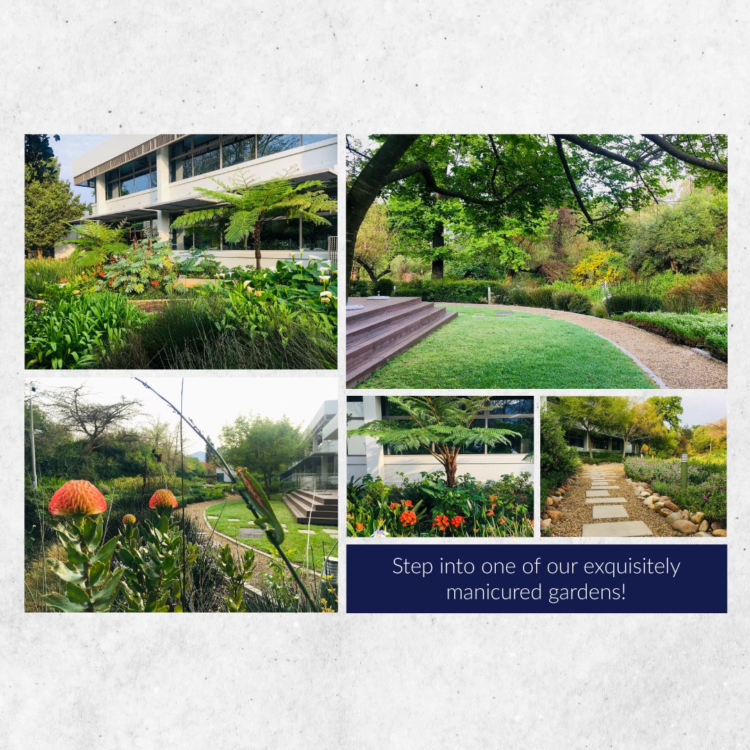 Bidvest Top Turf tweet media