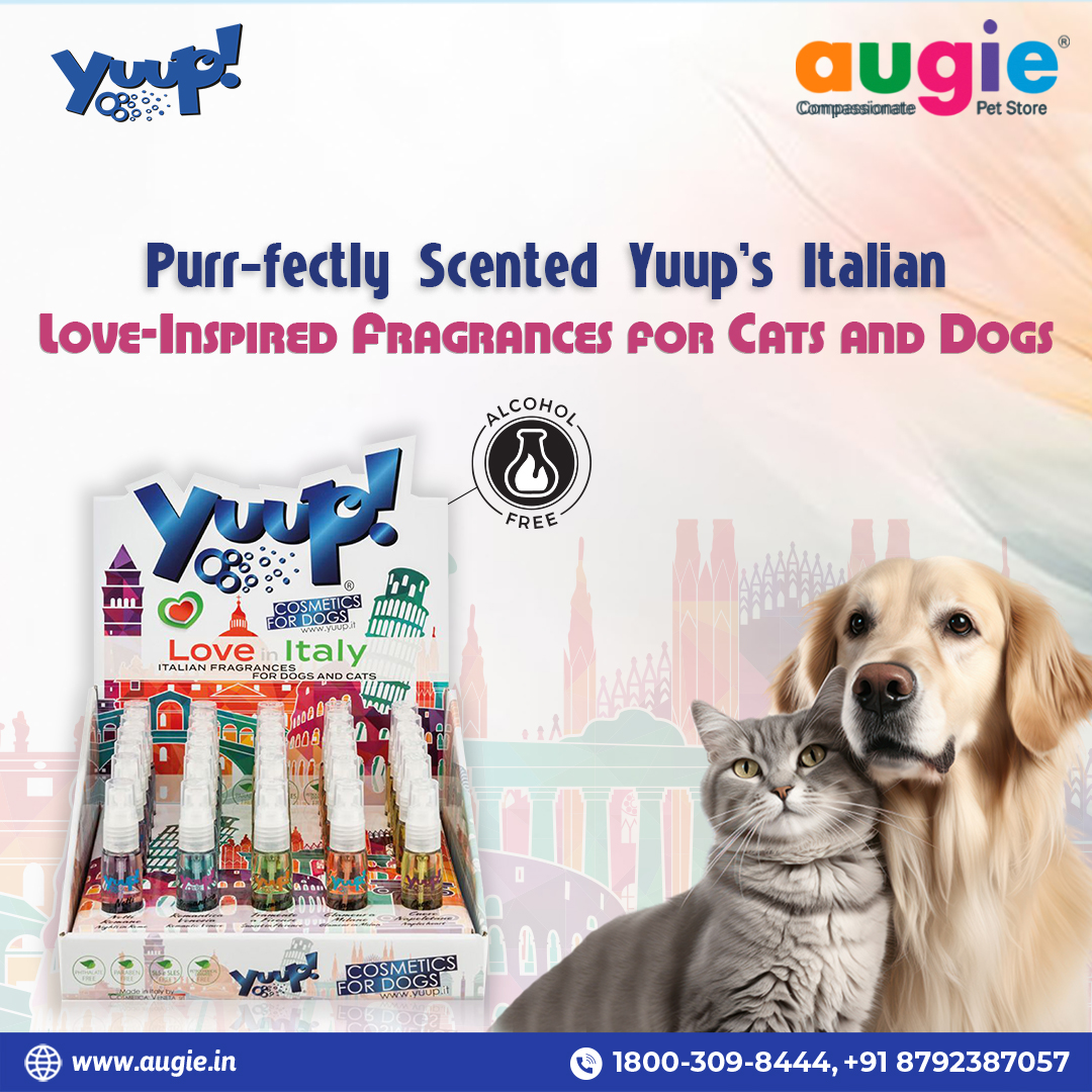 ✅ Experience the passion of Italy through your pet's senses with Love in Italy fragrances. A touch of amore in every spritz! 🐾💖
.
.
.
🌐 augie.in/dogs/grooming/… 

#augie #petproducts #PetLove #ItalianPassion #petfragrance #dogperfume #catperfume #alcoholfreeperfume…