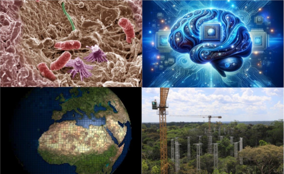 🌍 We are looking for candidates for a #PhDposition to explore the role of soil microbes for the future of soil carbon - valorizing biosphere models, AI and real-world experiments at @UniofExeter & @LSCE_IPSL @gcarbonproject - apply before March 30th: bit.ly/PhDmicrobes