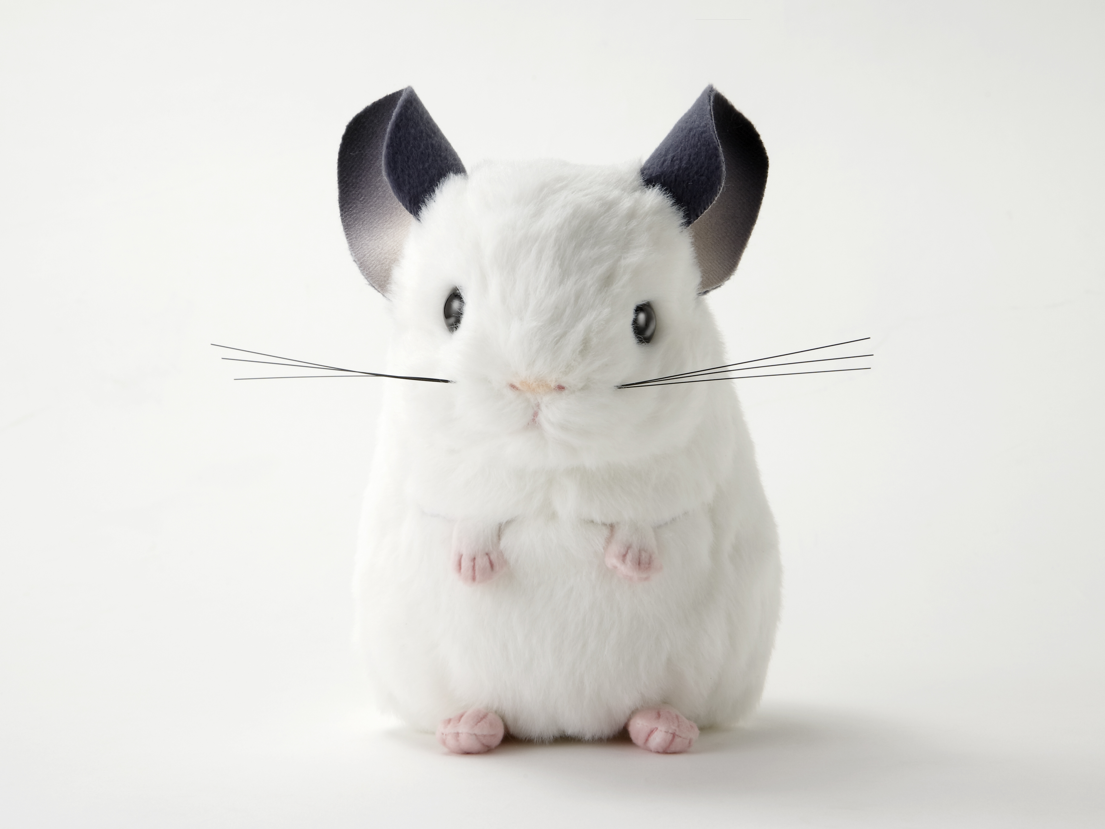 上野動物園［公式］ on X: 