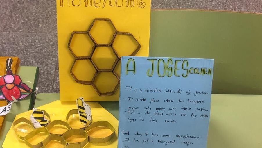 PCII STEAM tweet media