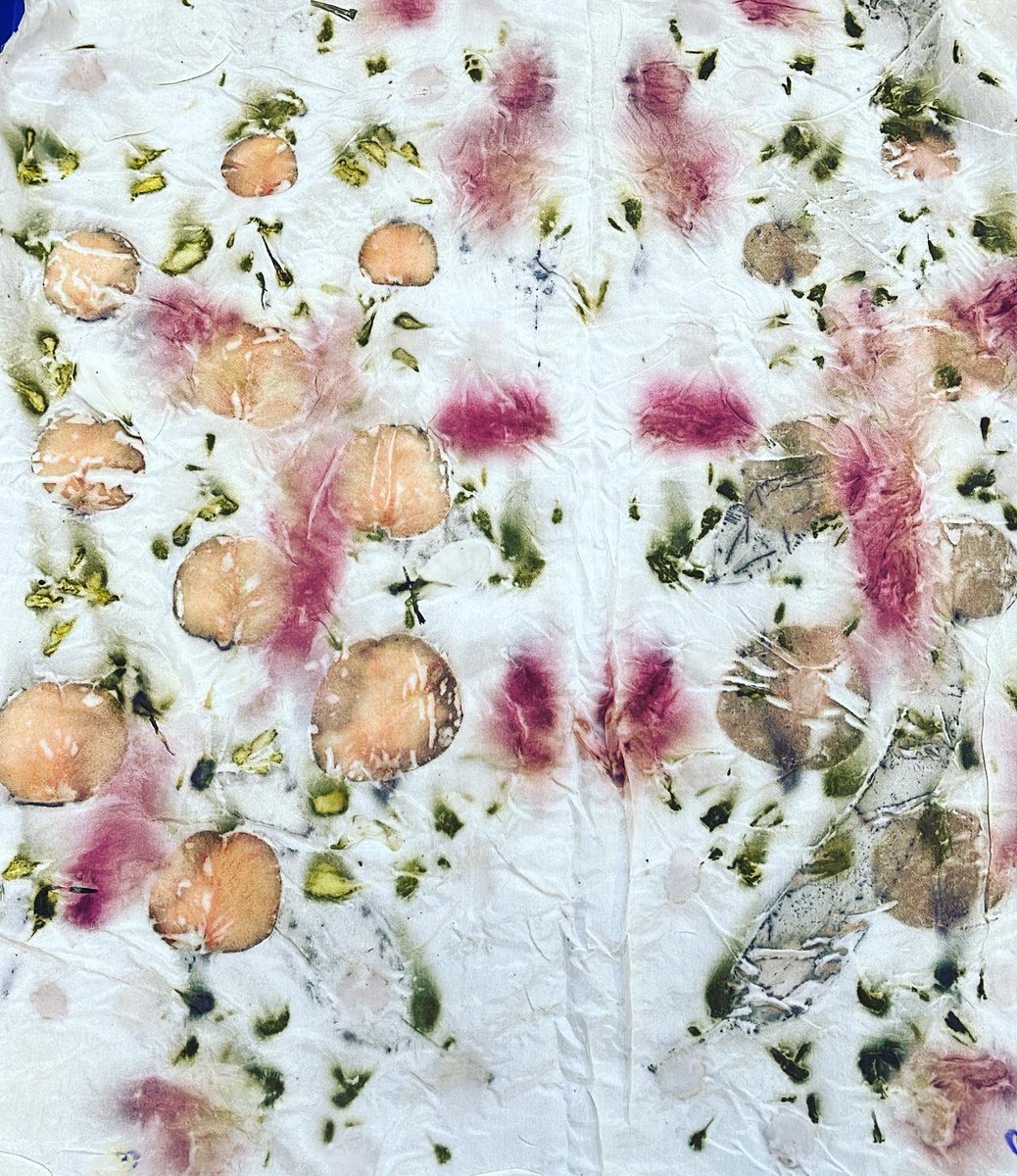 PipersArts's tweet image. Year 11 had a fantastic natural dying and eco printing workshop yesterday with Miss Ramsay. #PipersSenior #PipersYear11