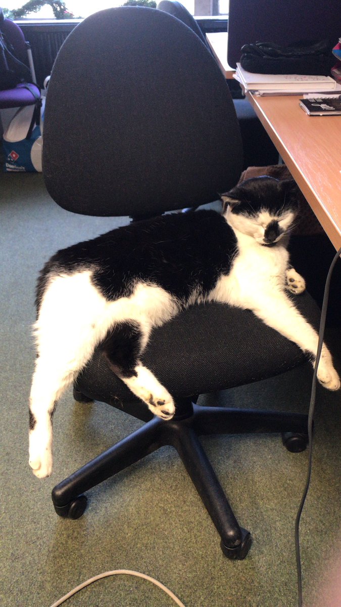It’s always an honour when Pebbles decides to sleep in your office! Though our PhDs were clearly not interesting enough to keep him awake