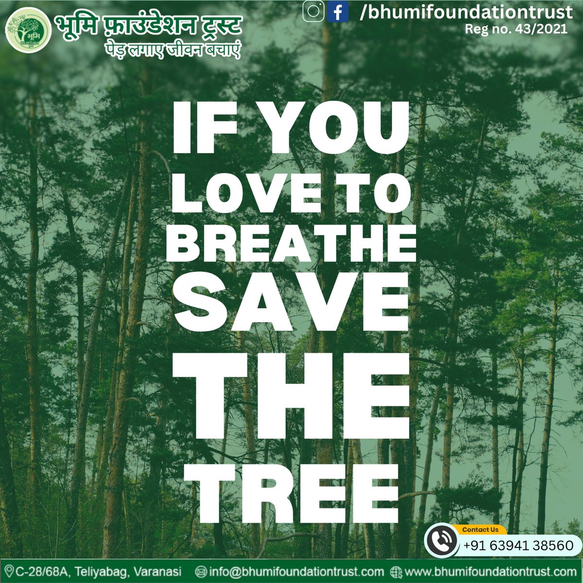 If you love to breathe save the tree.
जुड़िए भूमि फाऊंडेशन ट्रस्ट से :
bhumifoundationtrust.com

#saveenvironment #bhumifoundation #airpollution #savetree #savefuture #save #pollutionfreeindia