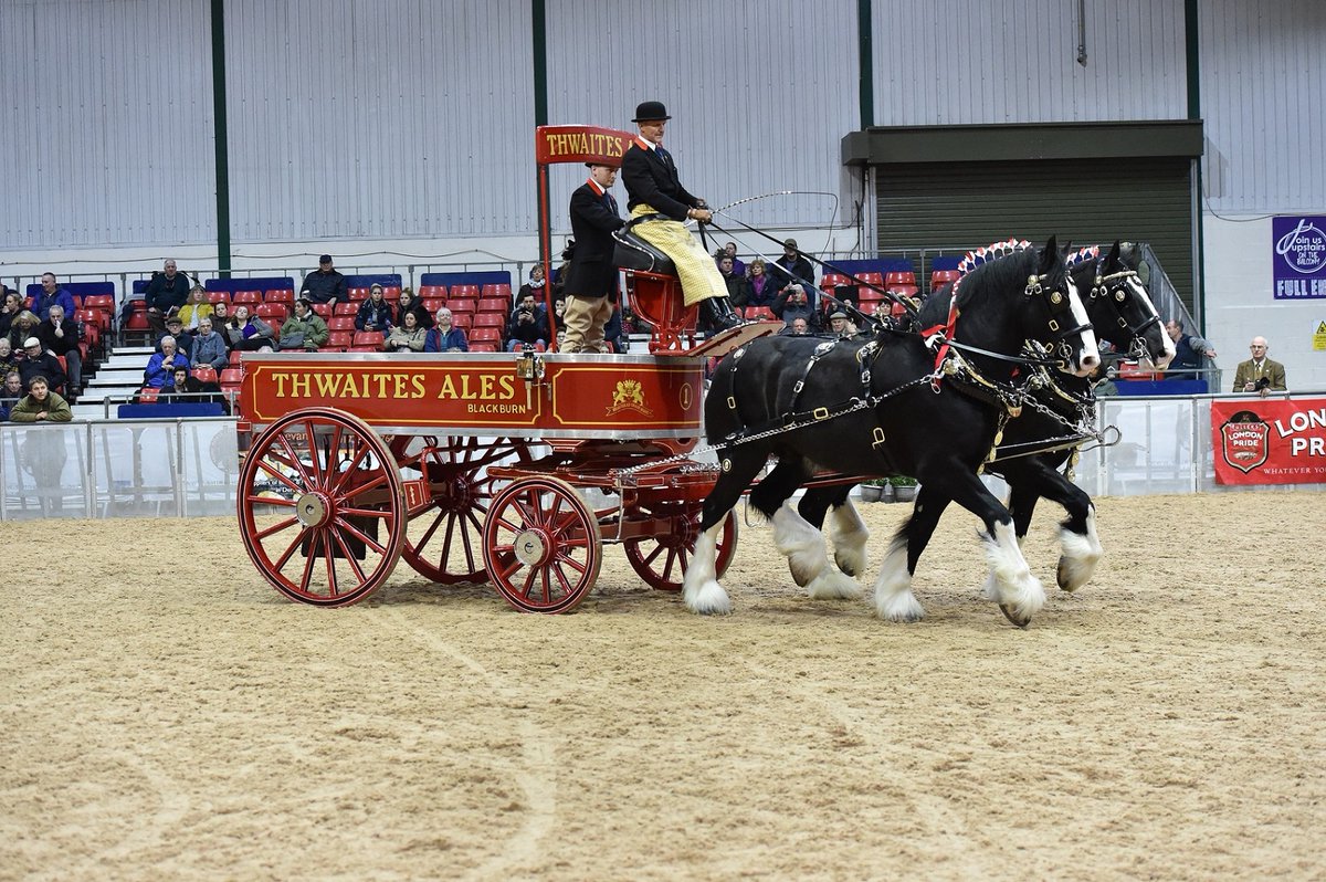 Shire Horse Society (@saveourshires) on Twitter photo 🐴Don’t miss out! The discounted ticket offer for our National Show at Staffordshire Showground tomorrow, Saturday and Sunday ends at 11pm tonight. Use this link bit.ly/2APWimn
Photo: <a href="/realtimeimaging/">Steve Dawe</a> 🐴Don’t miss out! The discounted ticket offer for our National Show at Staffordshire Showground tomorrow, Saturday and Sunday ends at 11pm tonight. Use this link bit.ly/2APWimn
Photo: <a href="/realtimeimaging/">Steve Dawe</a>
