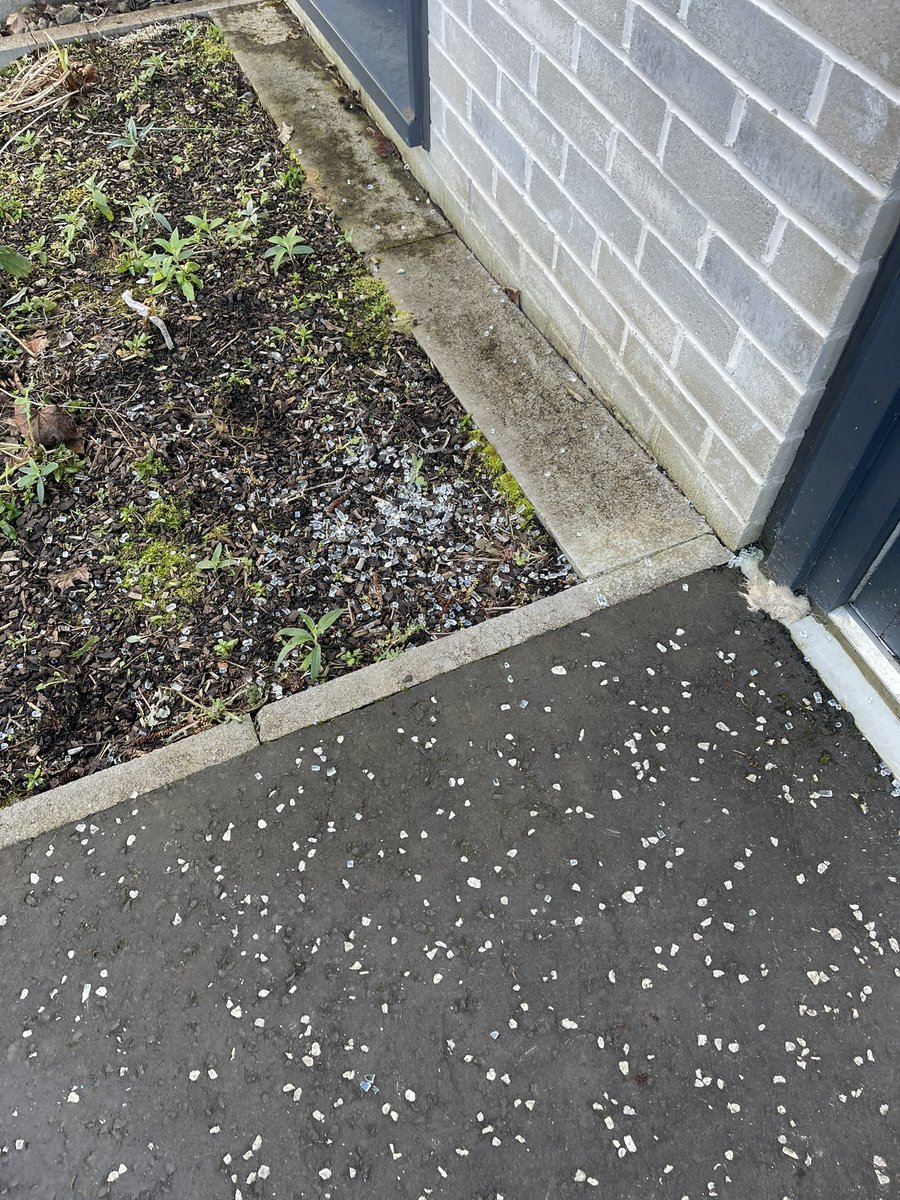 Lisa Flynn tweet media