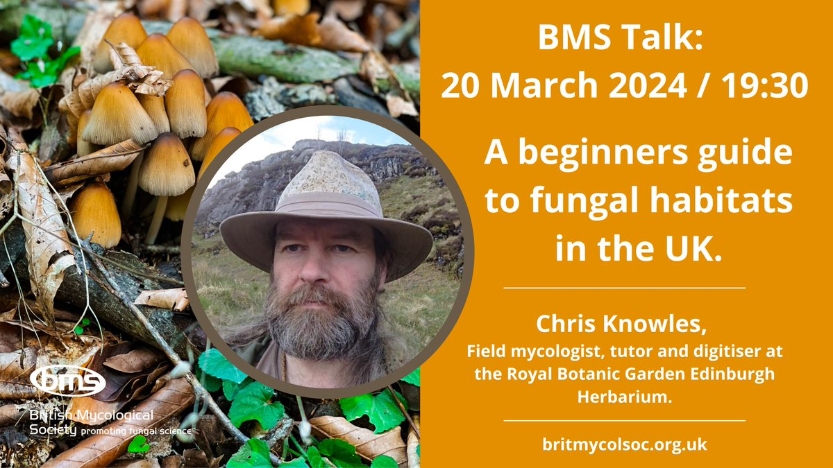 On 20th March, Chris Knowles will present a back-to-basics look at the various ecosystems where fungi thrive, and what each habitat means for a forayer - what will you find, & how can you plan a foray around them? Free, online, and open to all! Book now: britmycolsoc.org.uk