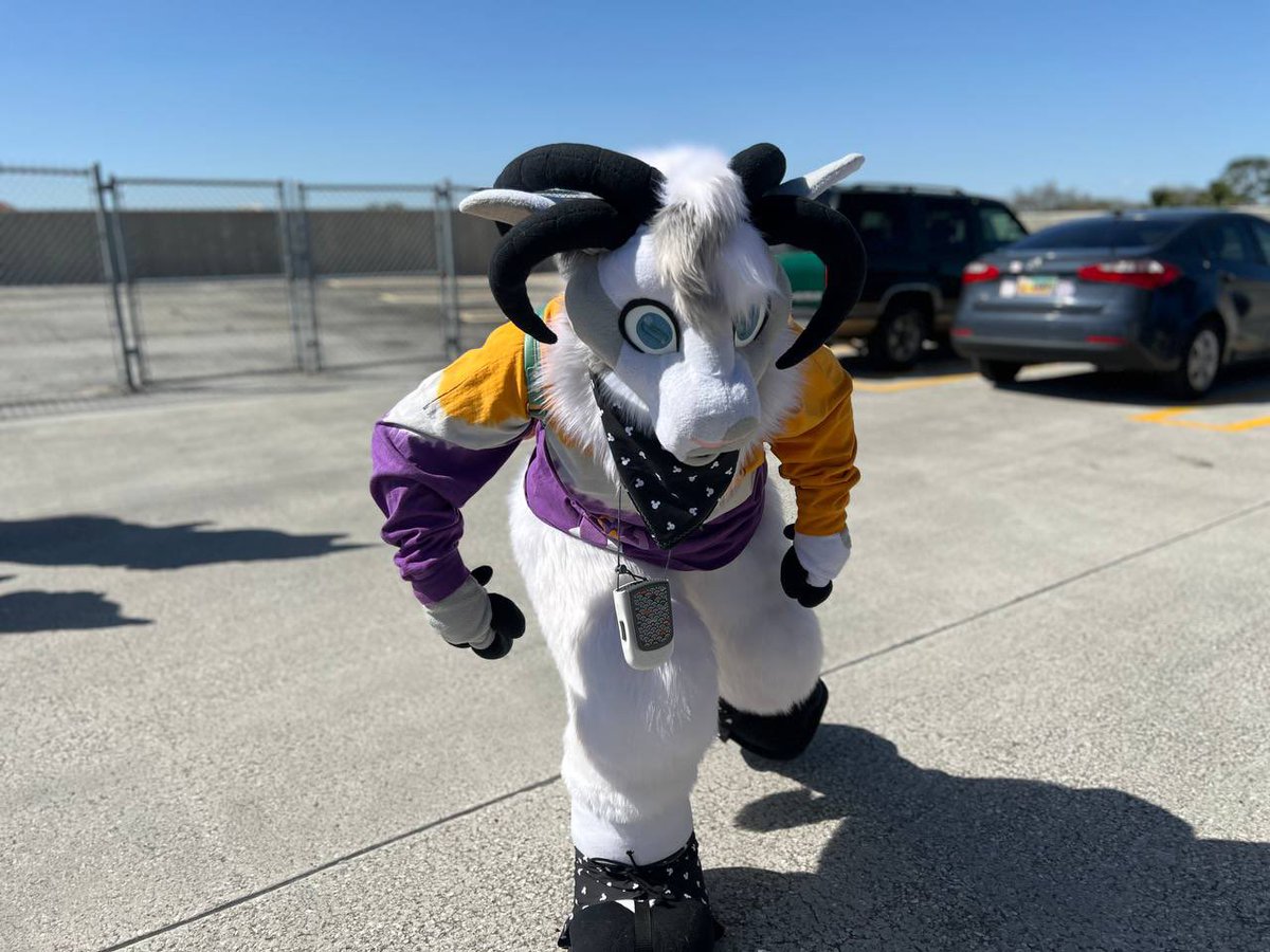 🐏Dusty the Ram tweet media