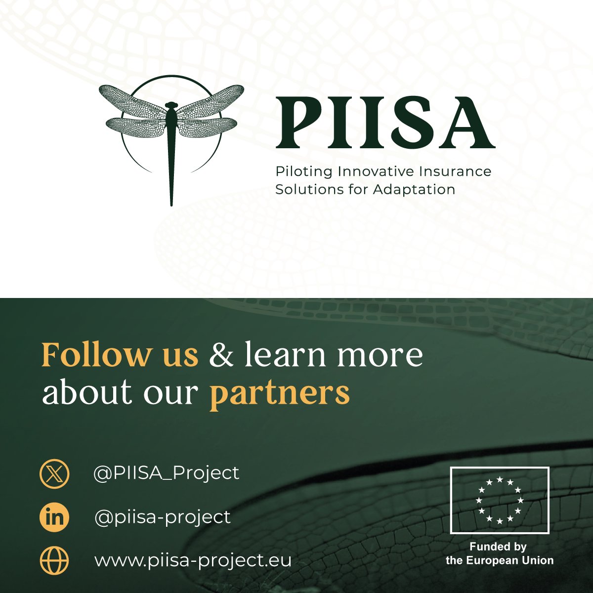 PIISA_Project tweet picture