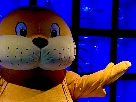 Post by 【公式】横浜・八景島シーパラダイス アニメ/ゲーム部🪼 on X