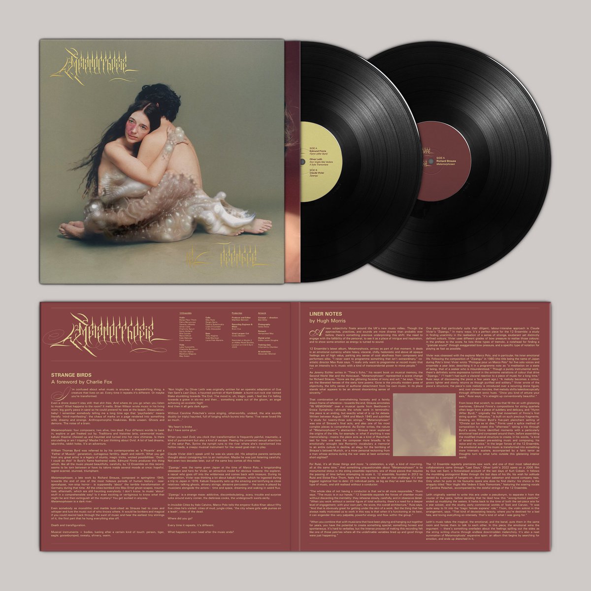 12 ensemble tweet media