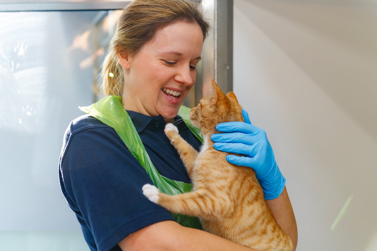 We are thoroughly enjoying learning about careers at @CatsProtection this #NCW2024!

#TEACHers, join our free live events this week to show your class what it is like to work for the UK's leading cat welfare charity.

Book at shorturl.at/JSV07

#college #schools #university