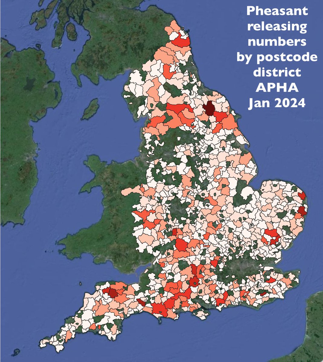 REVEALED: Just 131 shoots and game farms are responsible for rearing and releasing 6.2million pheasants in England - according to new official figures I obtained using FOI law Pheasant shooting is an industry out of control: time for nationwide licensing whoownsengland.org/2024/03/05/jus…