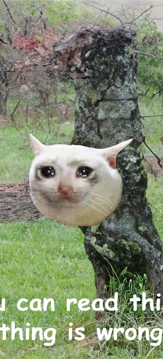 @tabbie.bsky.social tweet media