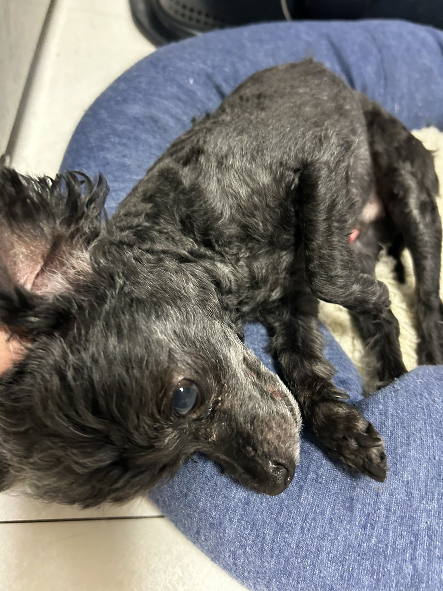 あぁ、、わたしの癒し🫶🫶🫶