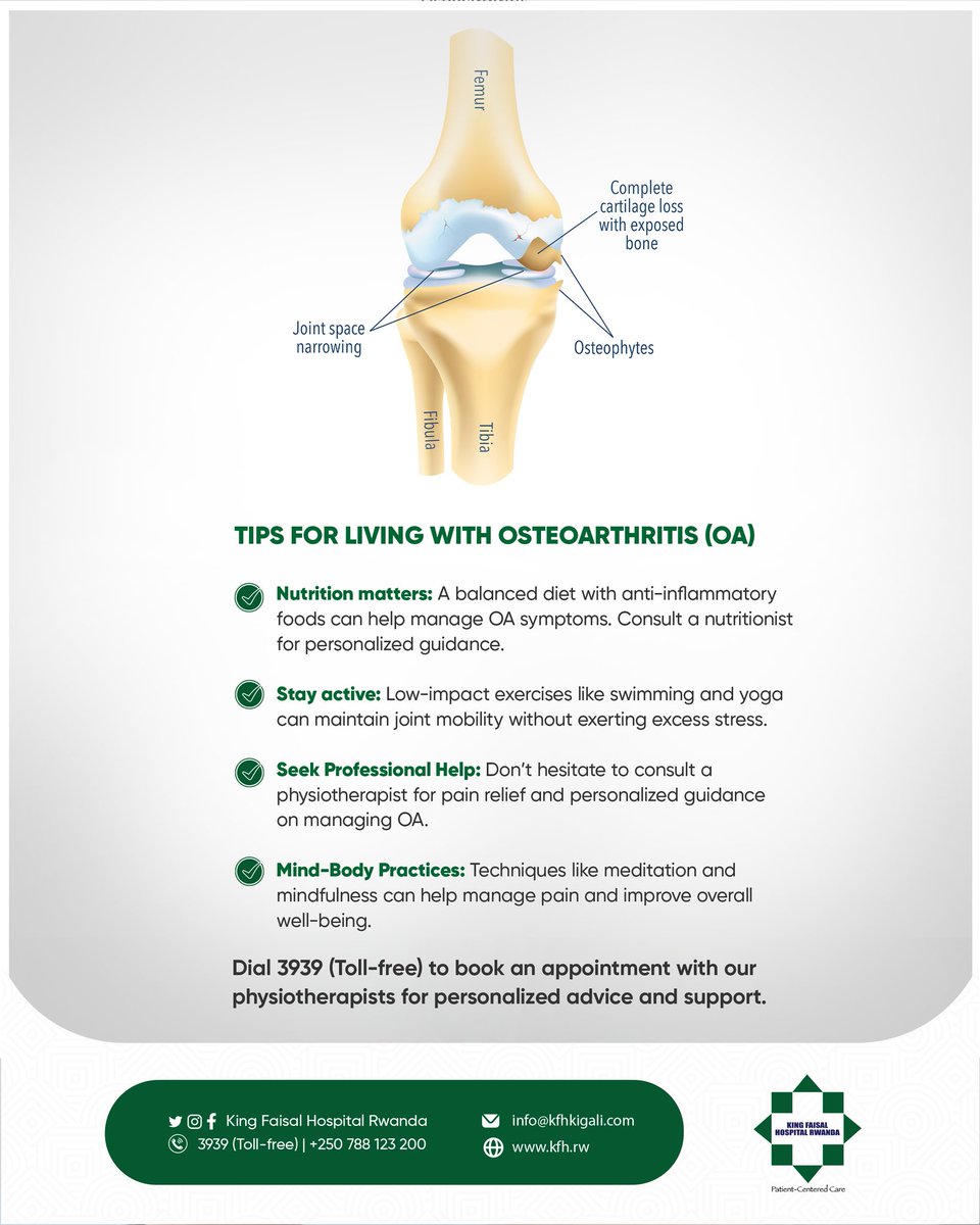Tips for living with Osteoarthritis (OA).

Living with OA means finding strength in resilience and optimism. While OA presents challenges, it doesn't define our journey. Through balanced nutrition, low-impact exercises, and the guidance of physiotherapists, we can live our best