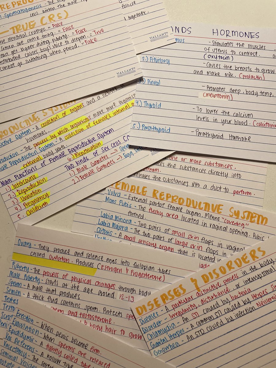 june__eight's tweet photo. — studying for our practical exam tomorrow 🧬 dna &amp; proteins are overwhelming me; there’s so much terms to study! 😅 https://t.co/4M1183ssar
