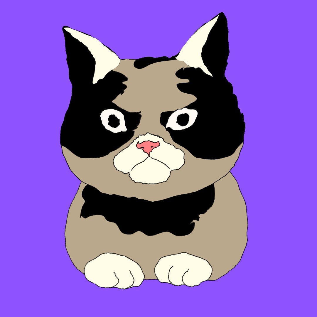 <a href="/grumpykittycoin/">Grumpy Cat (Parody)</a> <a href="/ishowblue/">Blue📈🥷🏽</a> sitting at 21k Market cap and its just 4 days old!  the Dev is based and still in $GRUMPY do not fade