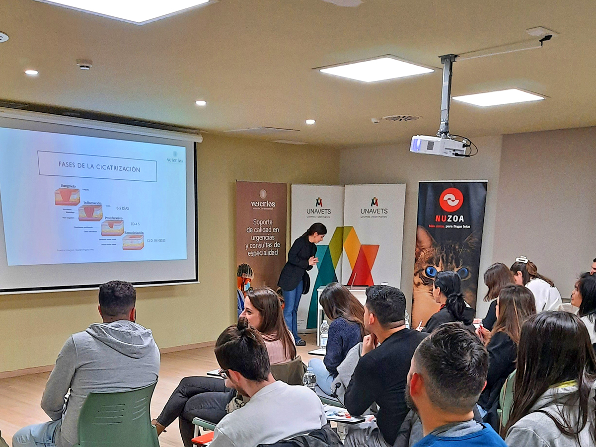 📆 El 29 de febrero tuvo lugar en Veterios la "𝗝𝗼𝗿𝗻𝗮𝗱𝗮 𝗙𝗼𝗿𝗺𝗮𝗰𝗶𝗼́𝗻 𝗖𝗶𝗿𝘂𝗴𝗶́𝗮" con Amparo Cabaleiro, Veterinaria Servicio Cirugía, de manos de <a href="/UnavetsG/">Unavets Group</a> y <a href="/Nuzoa_/">Nuzoa</a>

📸 ¡Os dejamos unas imágenes! 😊

#SomosNuzoa #Formacion #Veterinaria #Cirugia #Nuzoa