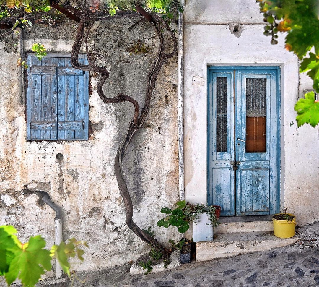 GreekPictures's tweet photo. #Kritsa is one of the oldest and most picturesque villages in #Crete, built amphitheatrically on a rock hill, named #Kastellos, surrounded by olive groves, at an altitude of 375 m.
📷 fotolove_by_katrinmanz https://t.co/hteAALa0p6