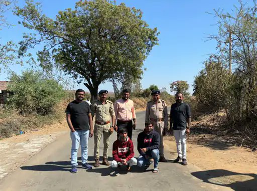 Two from Ahmedabad held for harassing lion in Amreli