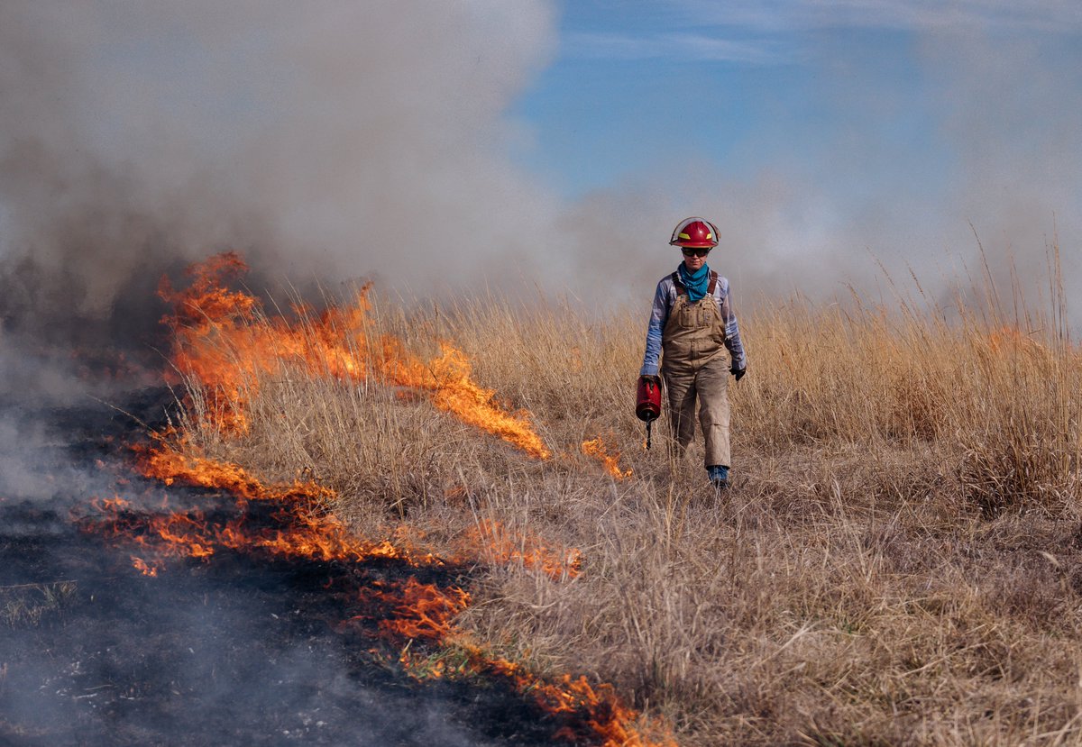 🔥The Rockefeller Prairie Trail, including the overlook, will be temporarily closed this afternoon for a prescribed burn of the prairie. Please avoid the area until this evening. 🌱

#kufieldstation #lawrenceks #obfs #getoutside #prescribedfire #rxfire #springiscoming