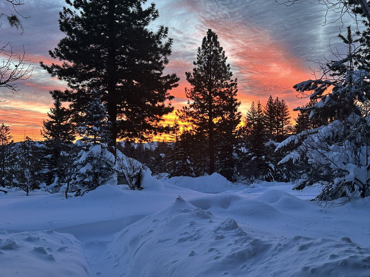 The morning after getting 40”in Montreux <a href="/TahoeWeather/">Tahoe Daily Snow</a>