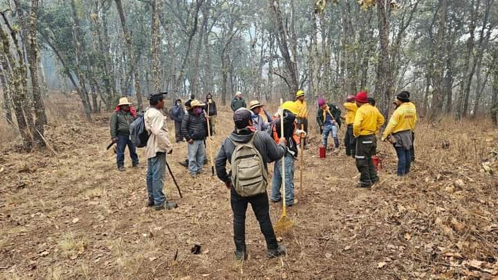 zapotecs's tweet photo. Quiaviní llora!
El 27 del mes de febrero empezó a arder el cerro de San Lucas Quiaviní. Los pobladores subieron al cerro para tratar de contener las llamas que devoraban los árboles, arbustos y todo a su paso.  Los pueblos circunvecinos acudieron a ayudar a sofocar el siniestro. https://t.co/dCUNjGmk8b