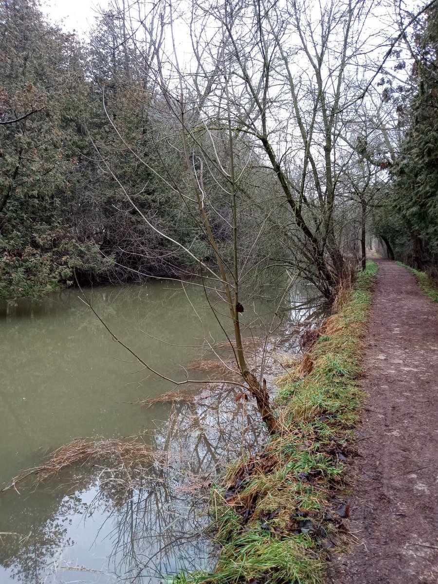 Shmuptopia's tweet photo. Meant to share these back in December. I was out for a solo stroll at a location I've visited since I was a kid. The Mill Race in St. Jacob's is such an enchanting place. https://t.co/giH5i2NU6M