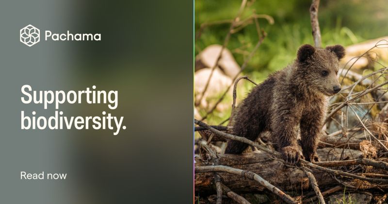 PachamaInc's tweet photo. From multilateral organizations to private companies, the momentum is building to protect our planet's biodiversity. Learn how you can be part of the solution and kickstart effective initiatives: https://t.co/qIKSVS5o30 #Pachama #Biodiversity https://t.co/8hsDPQLnMS