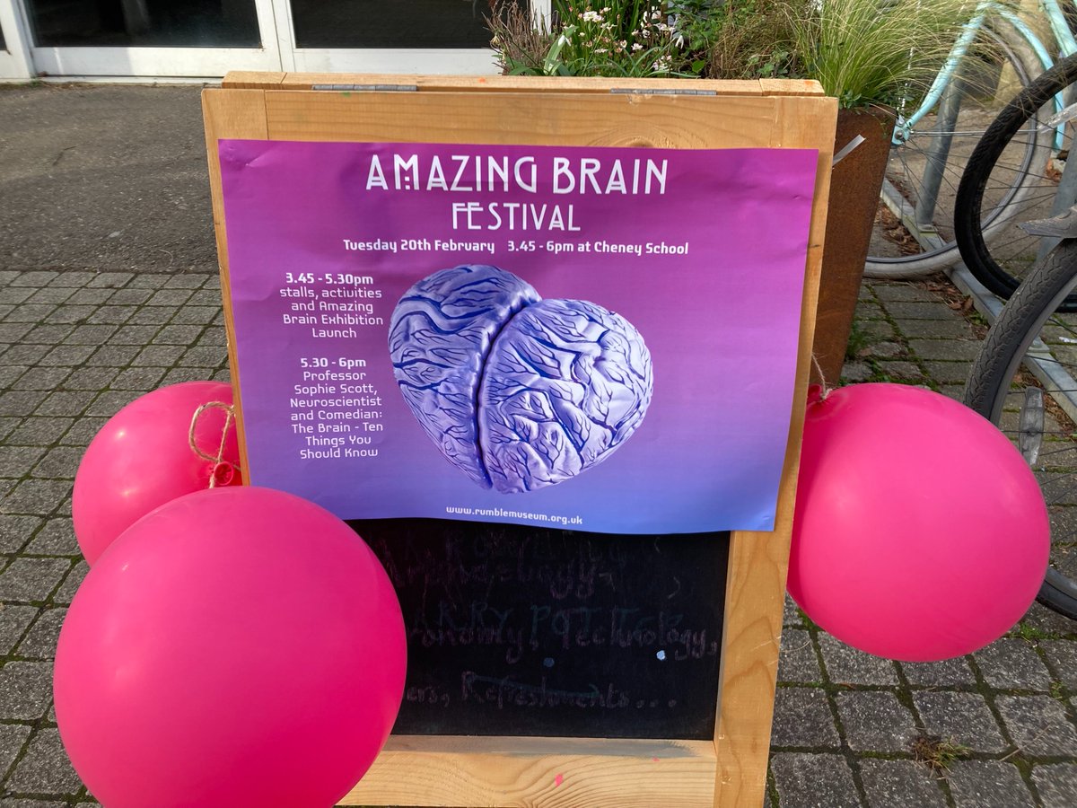 The new host for our neuroscience exhibition is @RumbleMuseum - they organised an afterschool festival to celebrate the launch. 

Attendees included @heidijoberg @CarinneP @hannamsmyth Seb Rieger & Stuart Clare from our core staff team, & @NDCNOxford DPhil student Jasmine Reese: