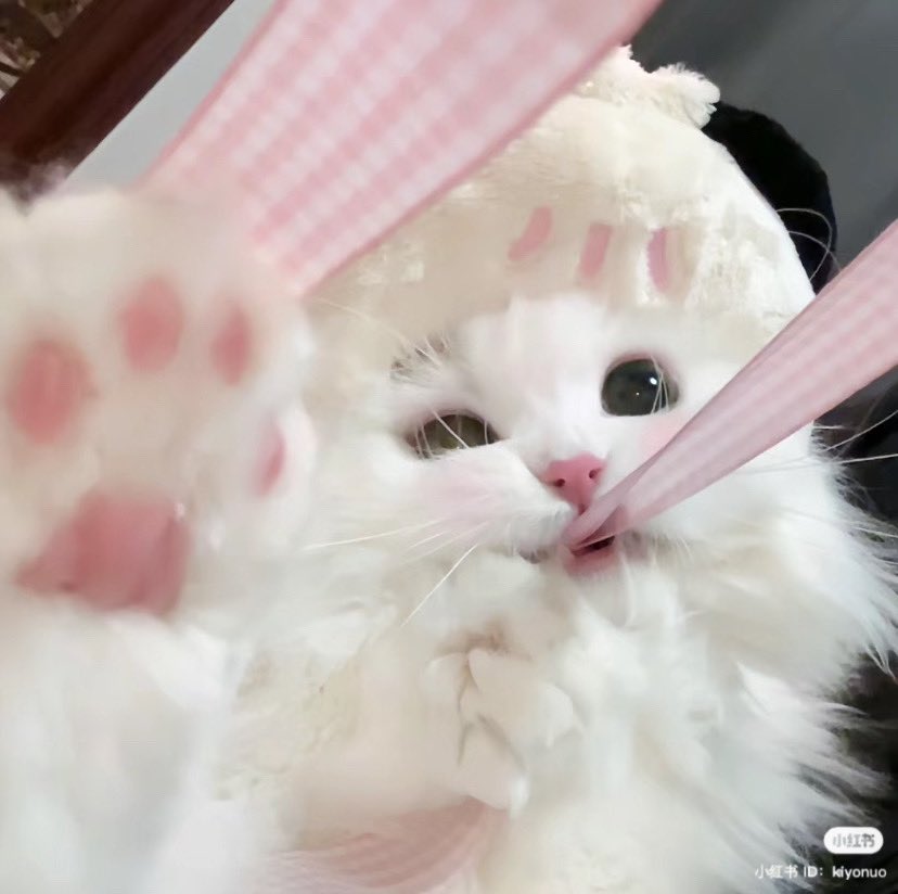 ْ (@heartzcore_) on Twitter photo 