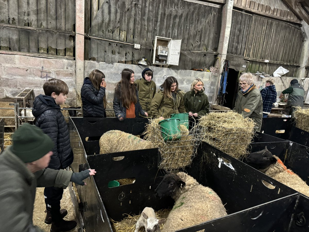 CarwynEJones's tweet photo. Ymweliad fferm gwych, diolch i Jane ac Emlyn Bown, Drws y Coed, Llannerch-y-medd am y croeso cynnes iawn ๐๐๐ฅ #Llangoed @cffiynysmon
Fantastic farm visit, thanks to Jane and Emlyn Bown,ย Drws y Coed, Llannerch-y-medd for the very warm welcome ๐๐๐ฅ https://t.co/rdDlLfI87C