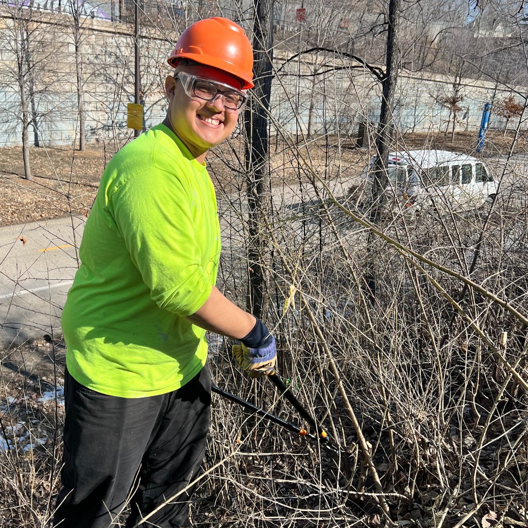 TreeTrust's tweet photo. It's a battle with buckthorn, and Tree Trust Youthbuild isn't backing down!

Our team is out there, cutting away this invasive shrub to make way for lawn mowers. 🌱💥

#invasivespeciesweek #buckthorn #skilledtrades #paidtraining @youthbuildusa https://t.co/DgZ5yAPU6p