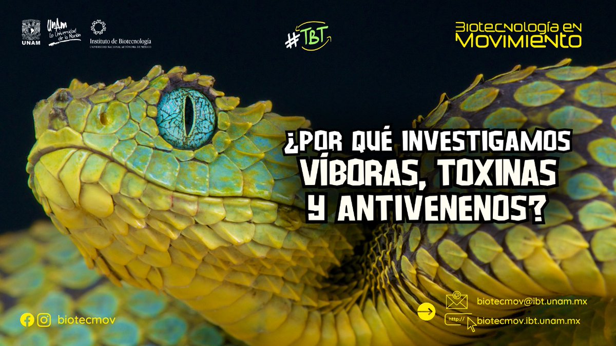 ibt_unam tweet picture