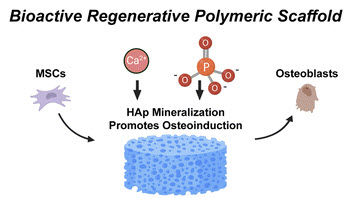Melissa Grunlan (@mgrunlanlab) on Twitter photo Delighted that our perspective on bioactive polymeric scaffolds has been published by <a href="/RoySocChem/">Royal Society of Chemistry</a> Journal of Materials Chemistry B! #regenerative #polymers <a href="/bmentamu/">TAMU BMEN</a> <a href="/TAMUEngineering/">TAMU Engineering</a> <a href="/TAMUChemistry/">Chemistry Department</a> <a href="/TAMUScience/">TAMU Science</a>
pubs.rsc.org/en/content/art… Delighted that our perspective on bioactive polymeric scaffolds has been published by <a href="/RoySocChem/">Royal Society of Chemistry</a> Journal of Materials Chemistry B! #regenerative #polymers <a href="/bmentamu/">TAMU BMEN</a> <a href="/TAMUEngineering/">TAMU Engineering</a> <a href="/TAMUChemistry/">Chemistry Department</a> <a href="/TAMUScience/">TAMU Science</a>
pubs.rsc.org/en/content/art…