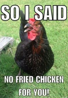 im so sad for the jeet you never get Fried $Chicken 😴
