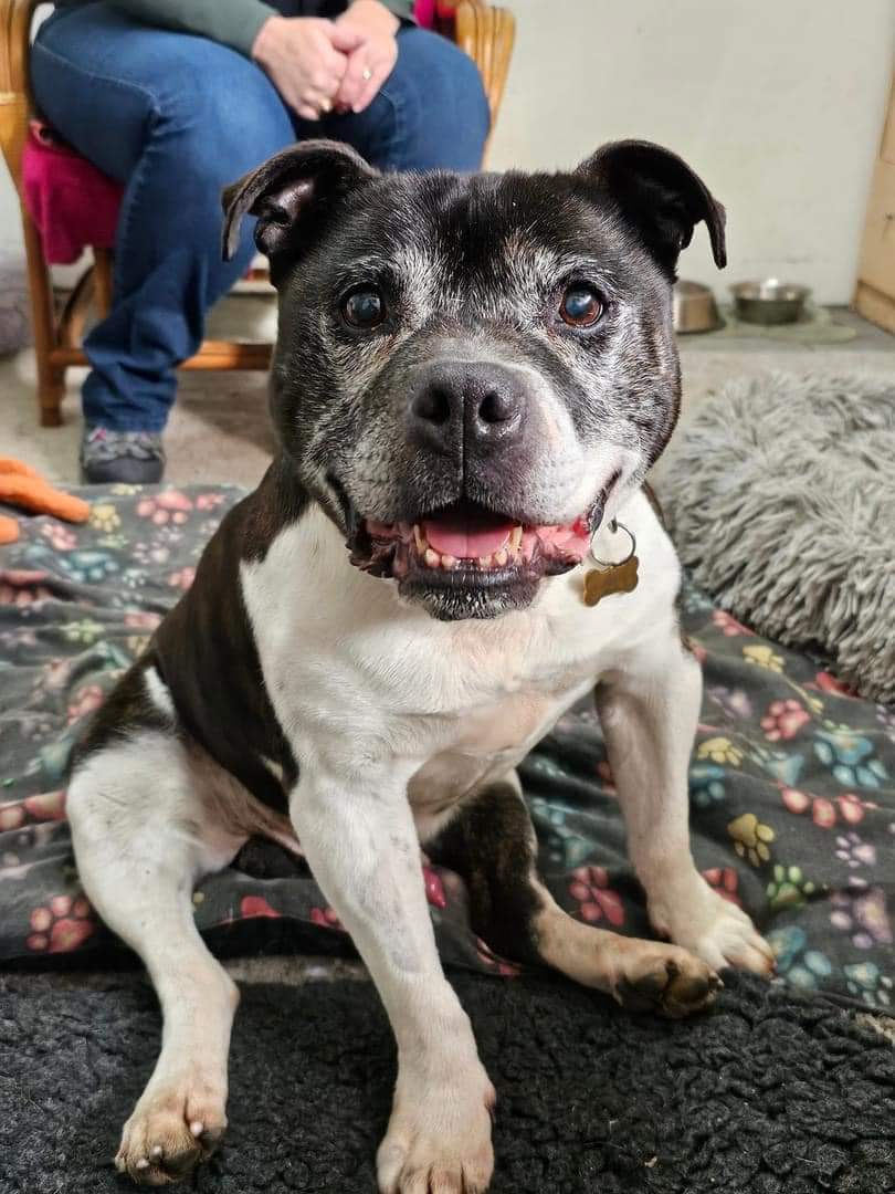 SeniorStaffy tweet picture