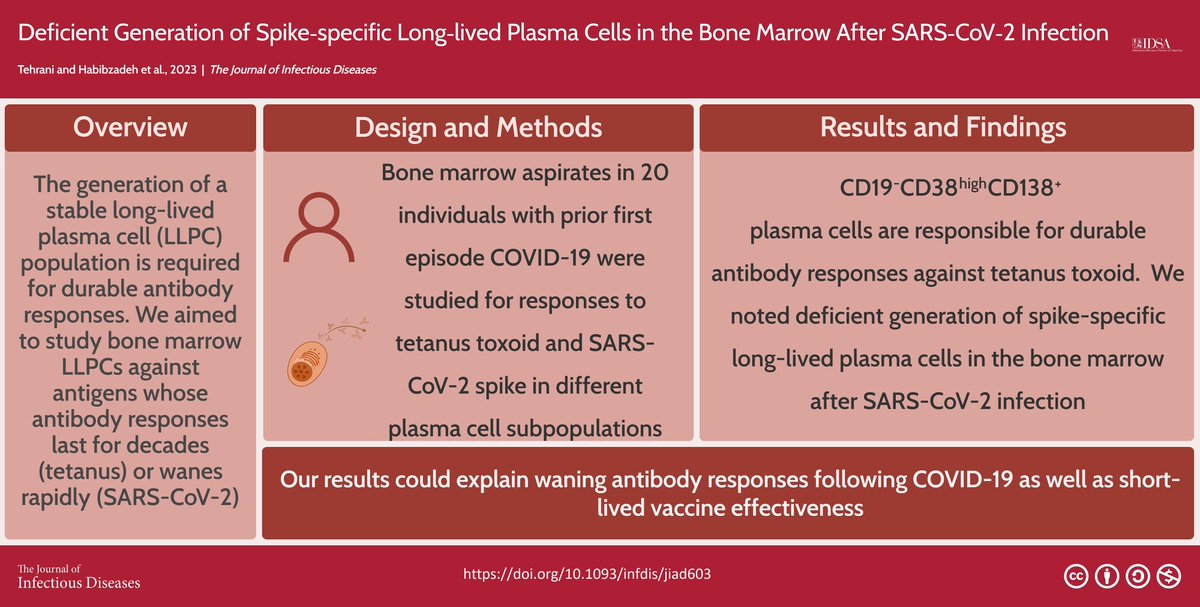 The generation of a stable long-lived plasma cell (LLPC) population is required for durable antibody responses. In <a href="/JIDjournal/">Journal of Infectious Diseases</a>, Zahra Tehrani, PhD, and colleagues aim to study bone marrow LLPCs against antigens whose antibody responses last for decades (tetanus) or wanes rapidly