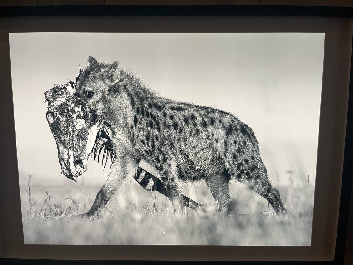 Reed's Science Dept. tweet media