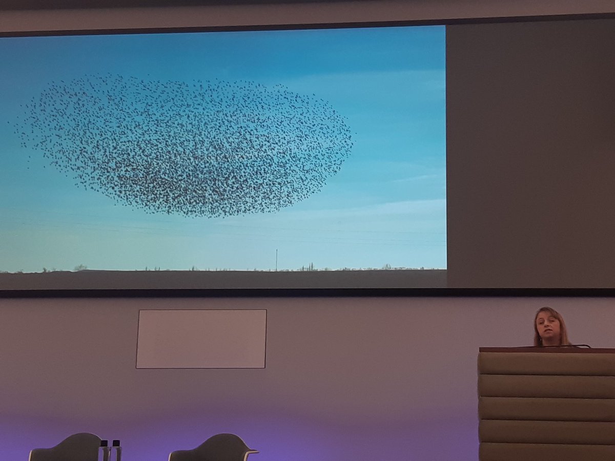 tas_function's tweet image. Professor @sabinehauert is sharing some of our impacts from our Node and across our swarm projects at the #TASShowcase24 #robotics #AutonomousSystems #AI #swarm