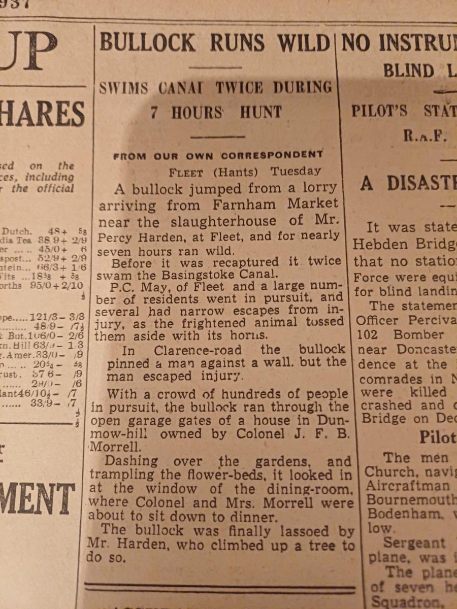 KimProvise. Theatre Va-Va-Voom (@kim_provise) on Twitter photo 90 years ago in Hampshire.
What is that, you say?
Mr Percy Harden? 90 years ago in Hampshire.
What is that, you say?
Mr Percy Harden?