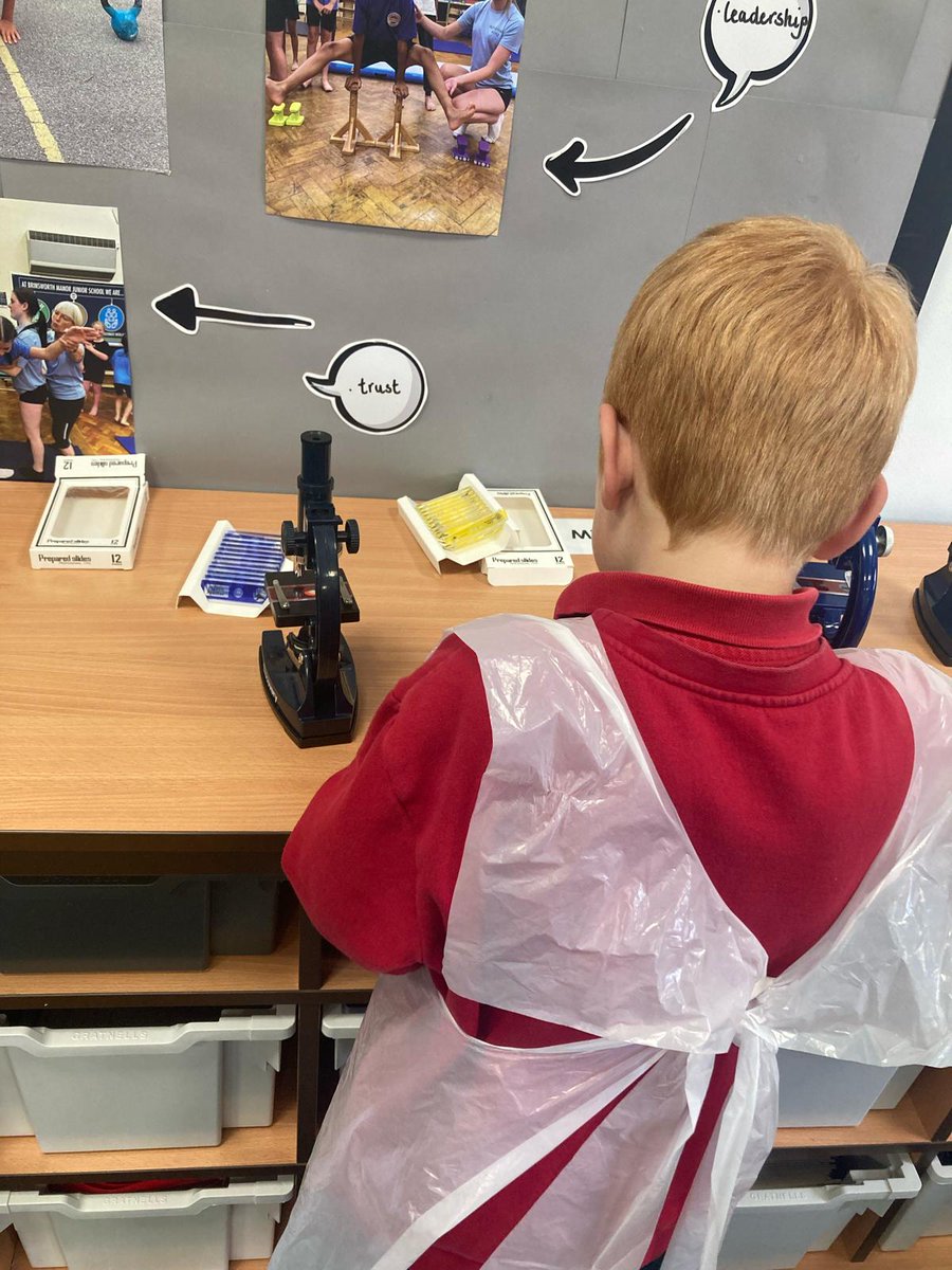 Rotherhamcreat2's tweet image. It has been all about Science today for our Family Learning @BrinsworthManor Children and families used a range of techniques to solve a crime. Finger print investigation, chromatography, ransom note deciphering (invisible ink) and footprint identification and more. #fabscience