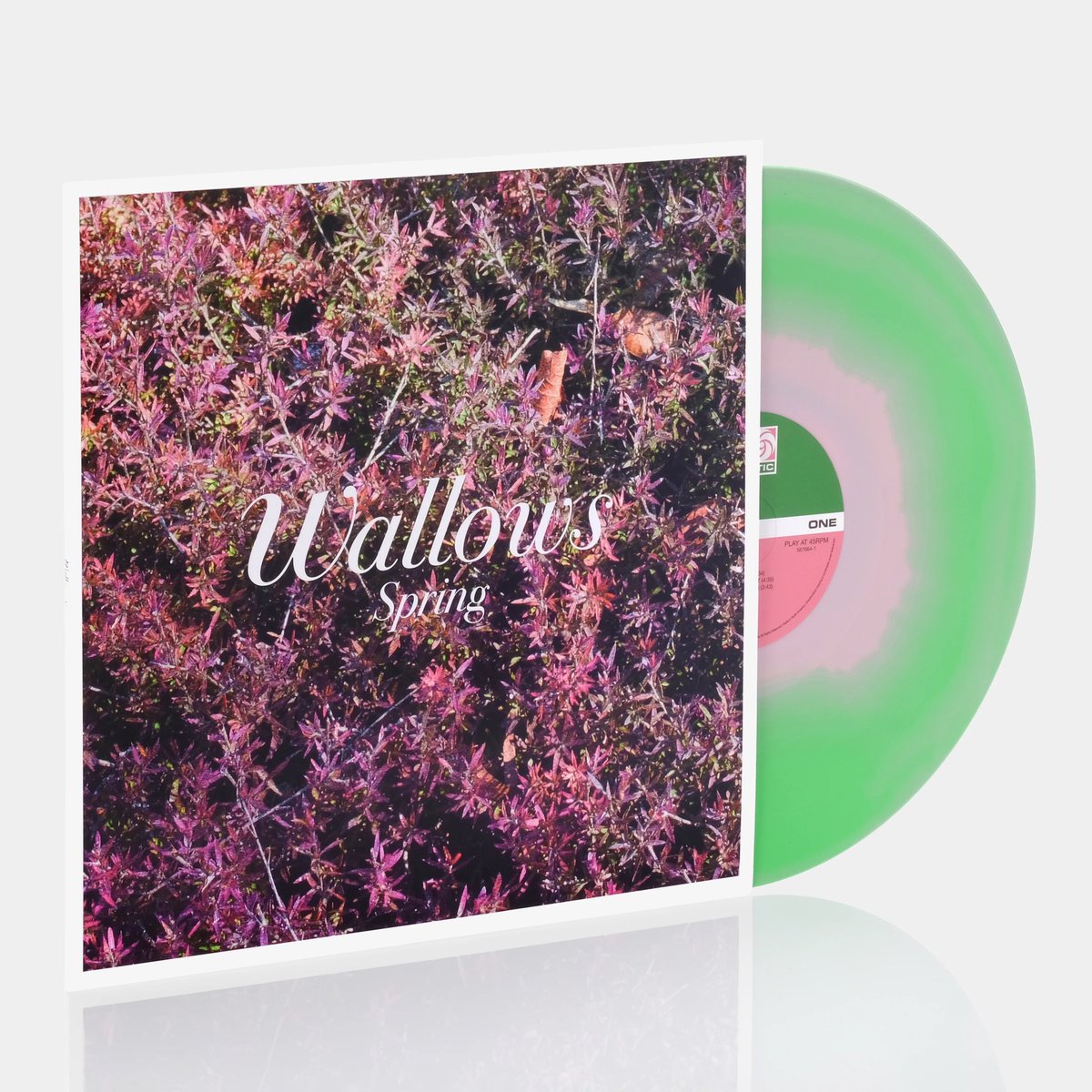 Grace 🦋- MISSES WALLOWS tweet media