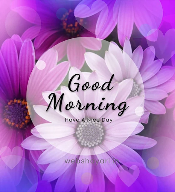 EmywEmily's tweet photo. #GoodMorning #BlessedDay https://t.co/Gr11F1mF5I