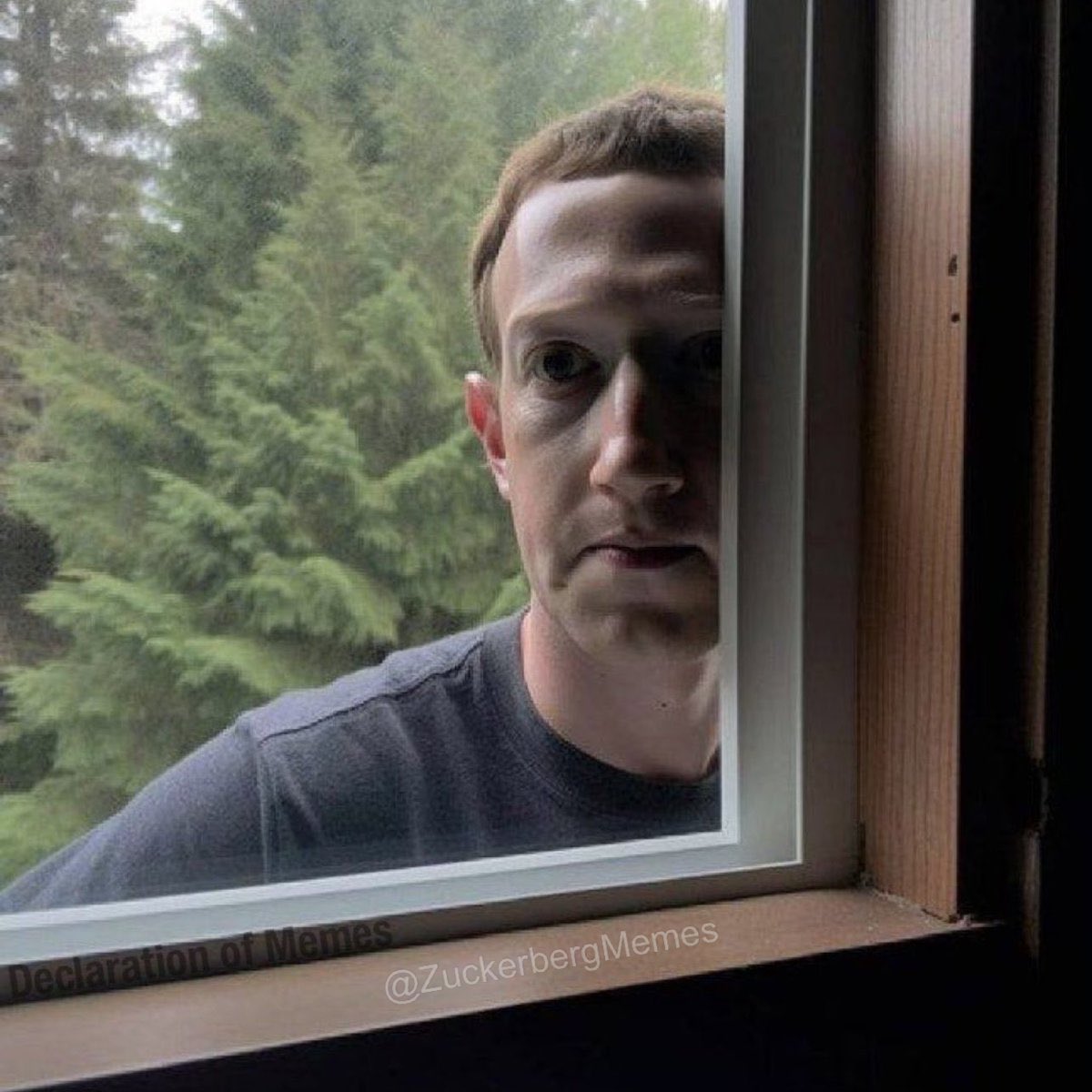 @MarkCrtlC <a href="/elonmusk/">Elon Musk</a> Mark Zuckerberg looking through Elon’s window to discover what is he doing wrong.