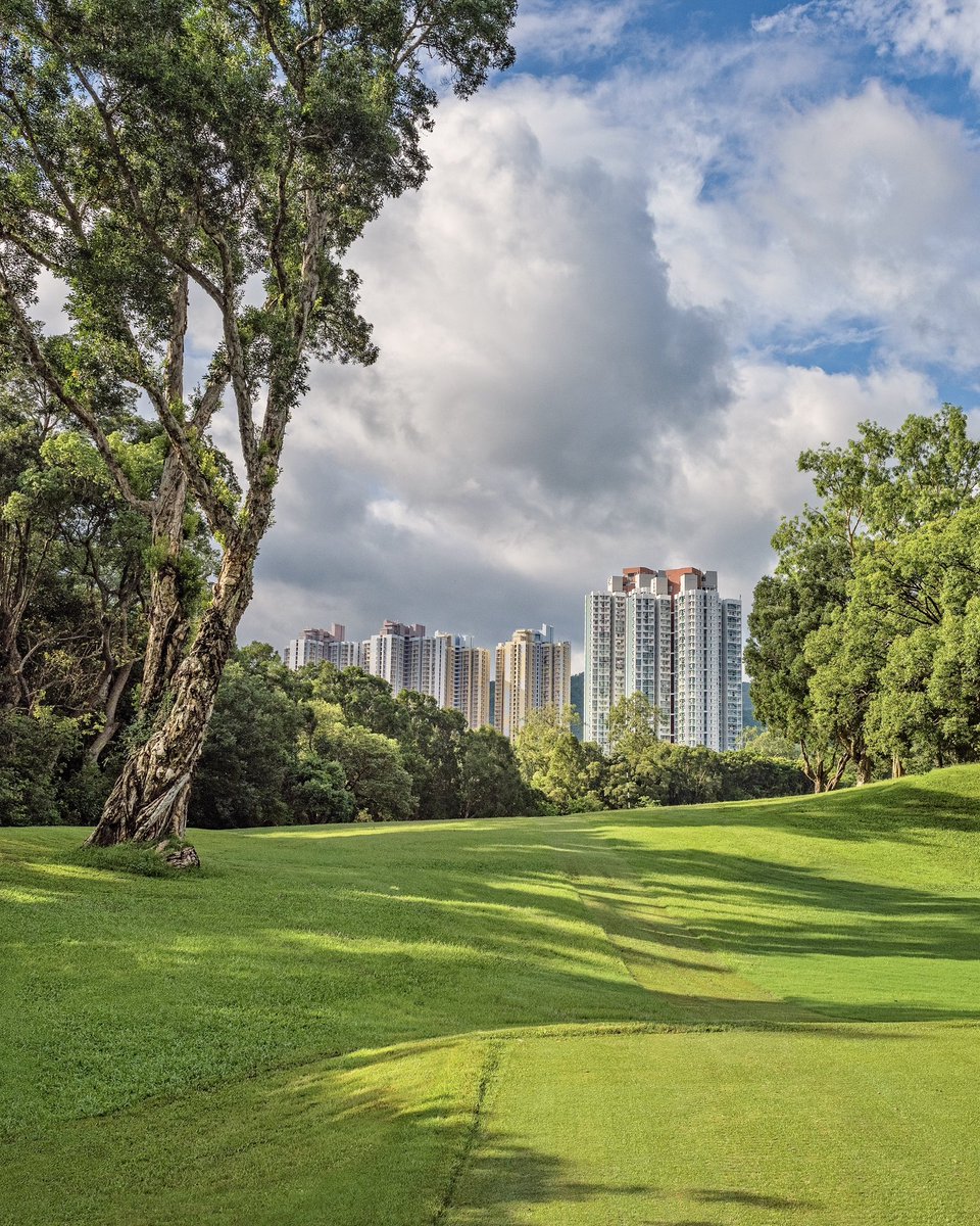 LIV Golf tweet media