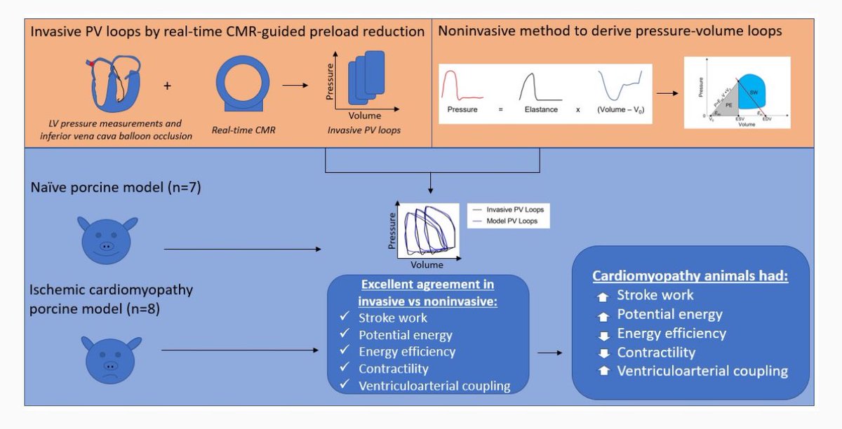 🌟🌟🌟 Just published 🌟🌟🌟

Noninvasive Pressure-Volume Loops using the Elastance Model and #WhyCMR 
@escardio @ESC_Journals @OUPMedicine @alessia_gimelli @EZancanaroMD @ShehabAnwer @Sarah_Moharem @EACVIPresident @VDelgadoGarcia 

academic.oup.com/ehjimp/advance…