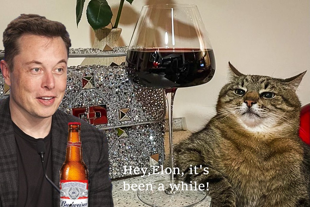 Kallis1978's tweet photo. @elonmusk Long time no see, friend! 😆
@loveyoustepan
#facebookdown #instagramdown #stepancat https://t.co/vhBBroqc1j